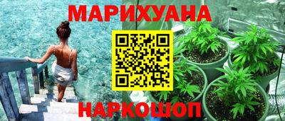 тгк Гусев