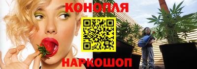 тгк Гусев