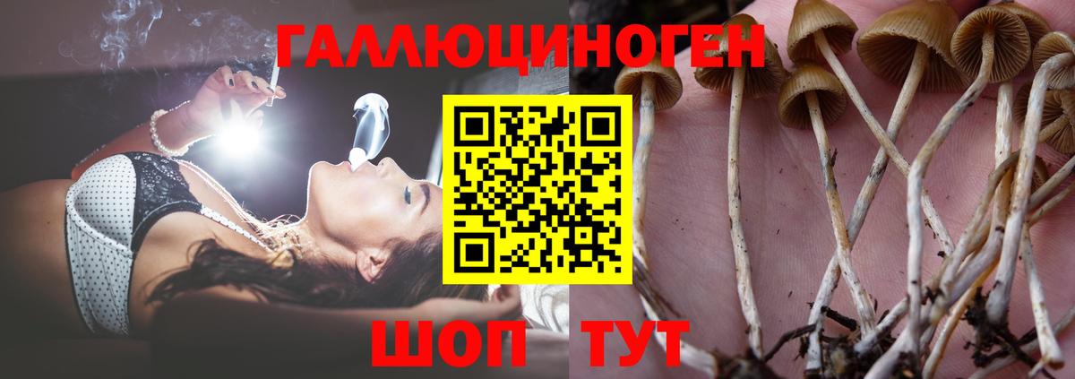 Псилоцибиновые грибы прущие грибы  продажа наркотиков  Псилоцибиновые грибы Magic Shrooms  Краснокаменск  Вход с VPN 